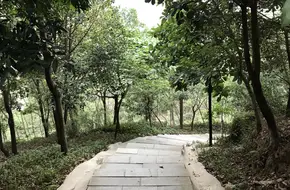 Tiezai Mountain
