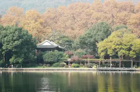 Autumn Moon On The Calm Lake (Pinghu Qiuyue)
