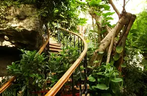 Botanical Conservatory