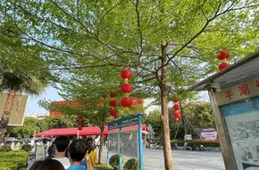 Pinghu