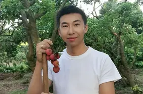 Nanshan Lychee Orchard