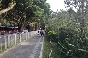 Han Tang Street