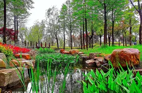 Luchao Port Park
