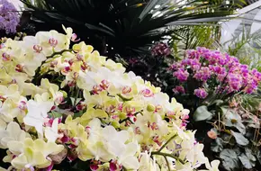 Chen Shan Botanical Garden - Rare Plant Pavilion