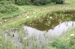 Lingxi Scenic Area