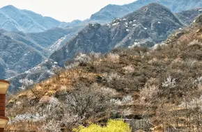 Jingxi Eighteen Pools
