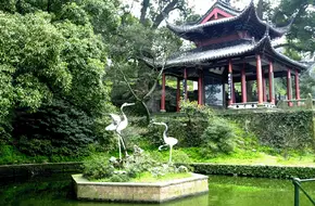 Pavilion Of Freeing Cranes