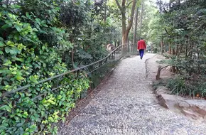 Yangpu Park