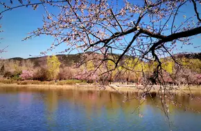 Cherry Valley Botanical Garden