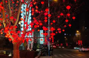 Mihong Park
