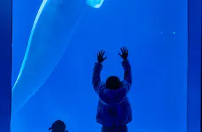 Ice Mountain Arctic Pavilion