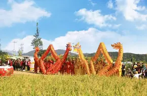 Jinyin Valley Happy Farm