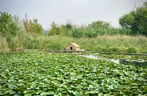 Niukouyu Wetland Park