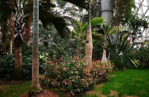 Wetland Botanical Garden