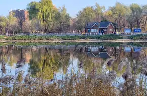 Tai Yang Park