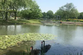 Chen Shan Botanical Garden - Aquatic Plant Garden
