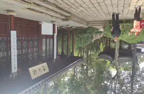 Jingqing Hall