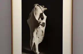 M Art Space