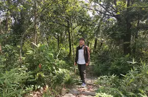 Pineapple Mountain