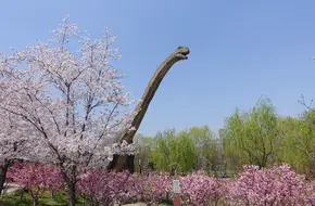 Gucun Park · Nature Valley Dinosaur Land