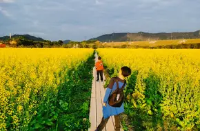 Wei Cai Lan Eco-Farm