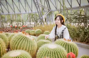 Xianhu Botanical Garden - Cactus And Succulent Garden