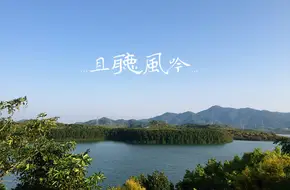 Xili Reservoir Peach Blossom Forest