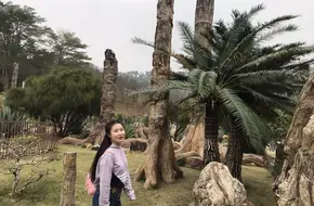 Spore Plant Wetland Area