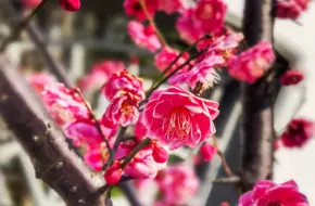 Qingxi Rule Of Law Park