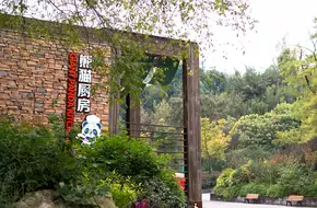Panda Kitchen