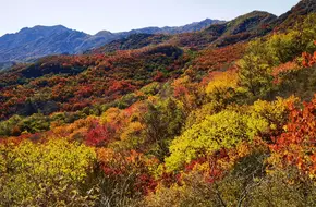 Lupi Pass Great Wall