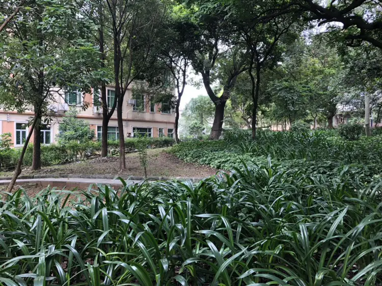Houlongshan Park