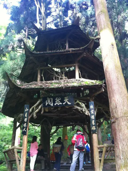 Qingcheng Mountain-Natural Pavilion