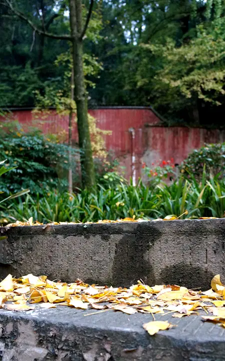 Yongjiang Ancient Road