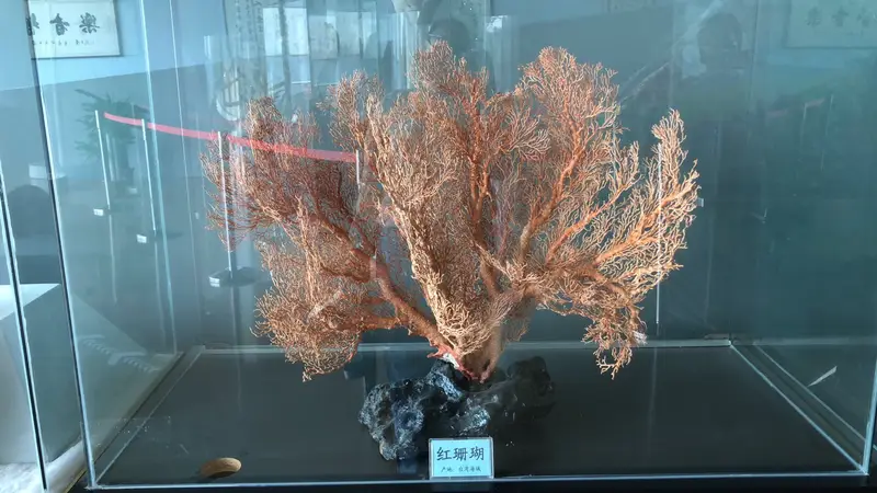 Treasure Museum
