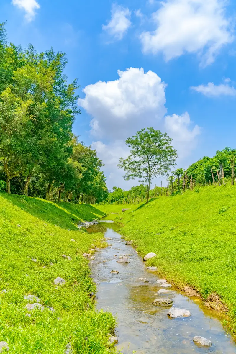 Tianhe Wetland Park