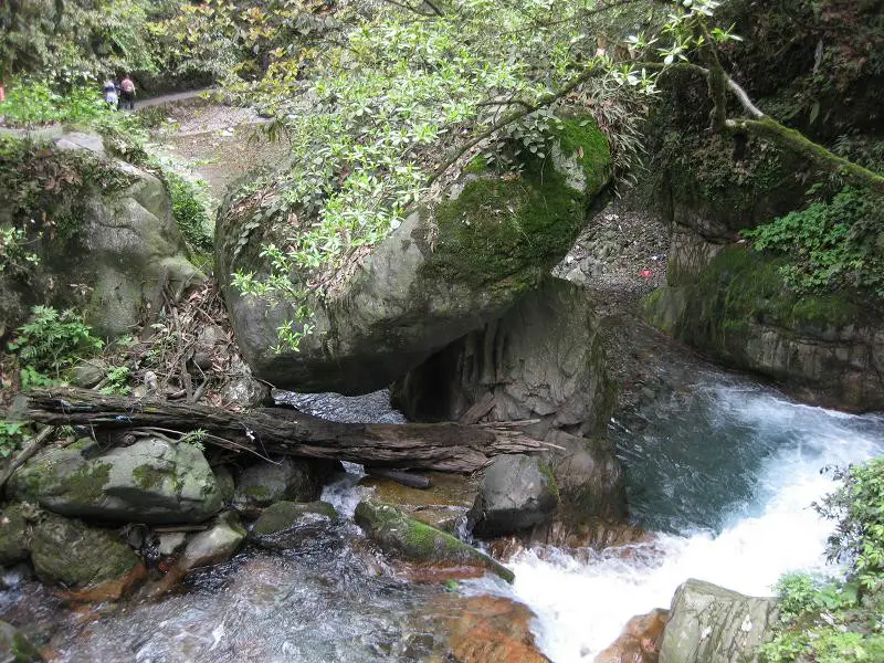 Frog Pool