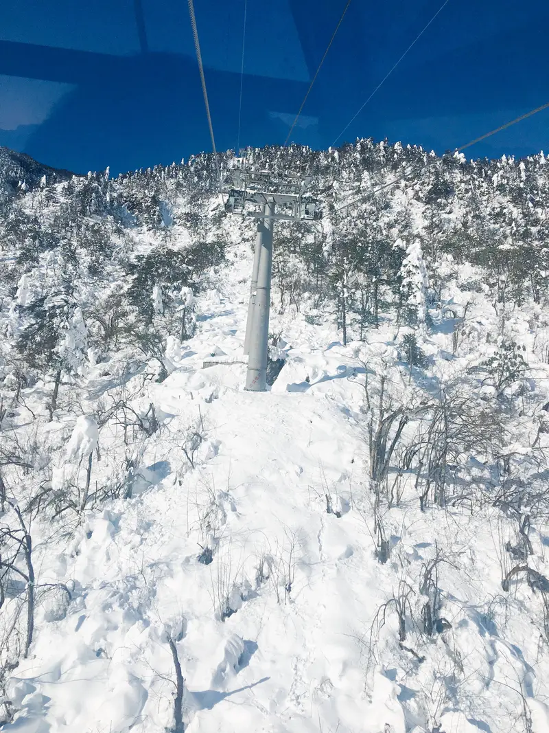 Back Mountain