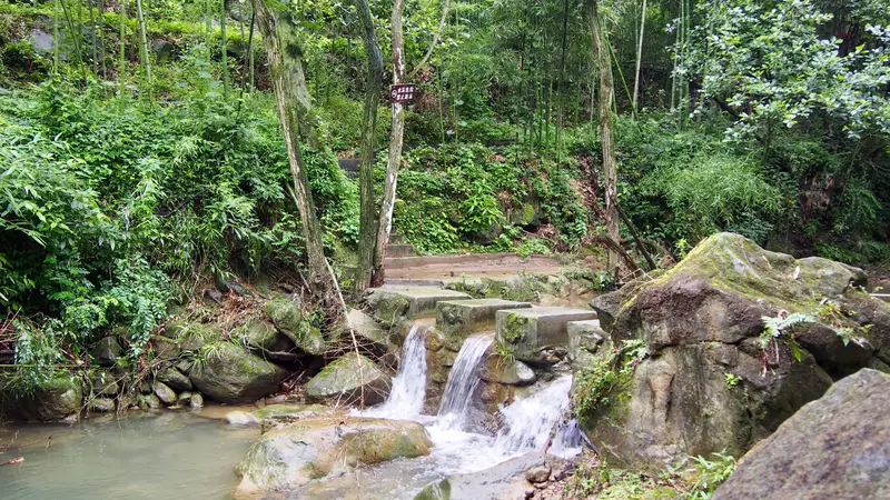Tongma Valley