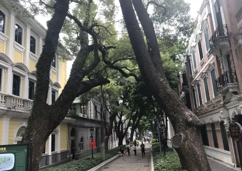 Friendship Garden