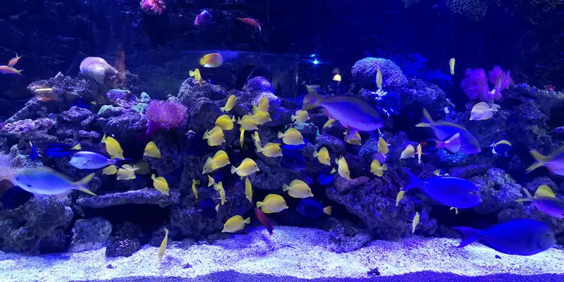 Grandview Polar Ocean World