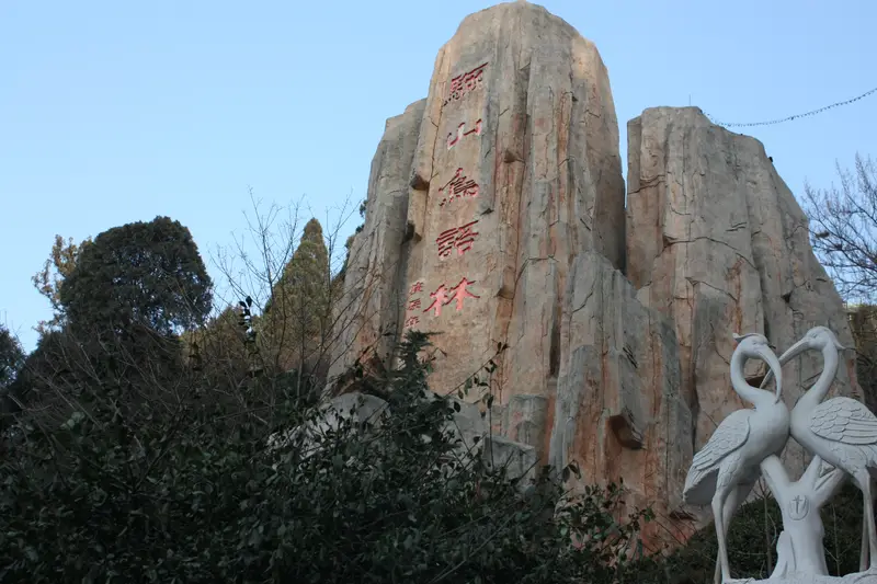 Lishan Bird Language Forest