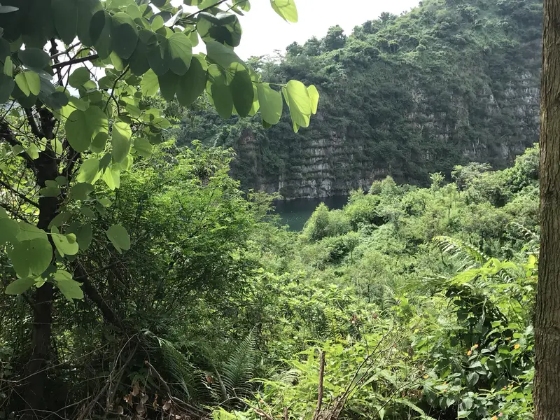 Xiancun Wudai Ling Forest Park