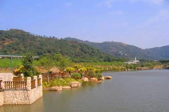 Luogang Scenic Area