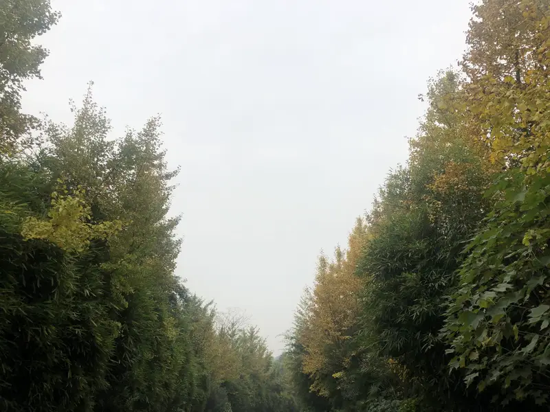 Tangwang Hall