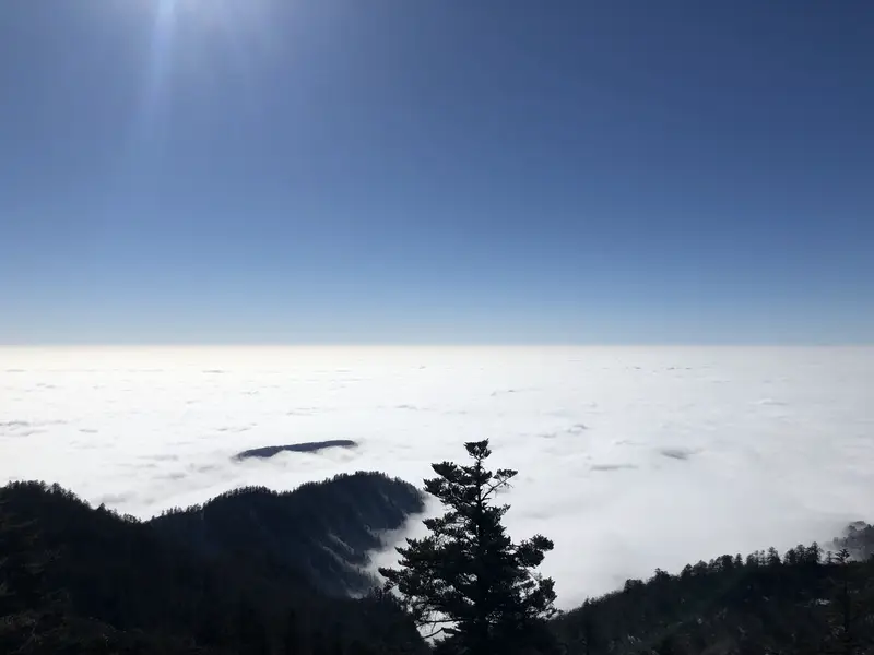 Sea Of Clouds