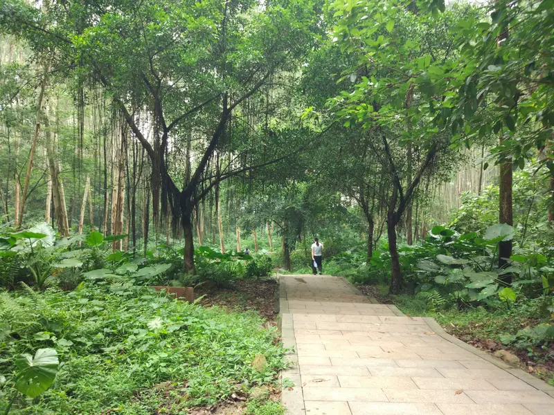 Jingxi Ecological Park