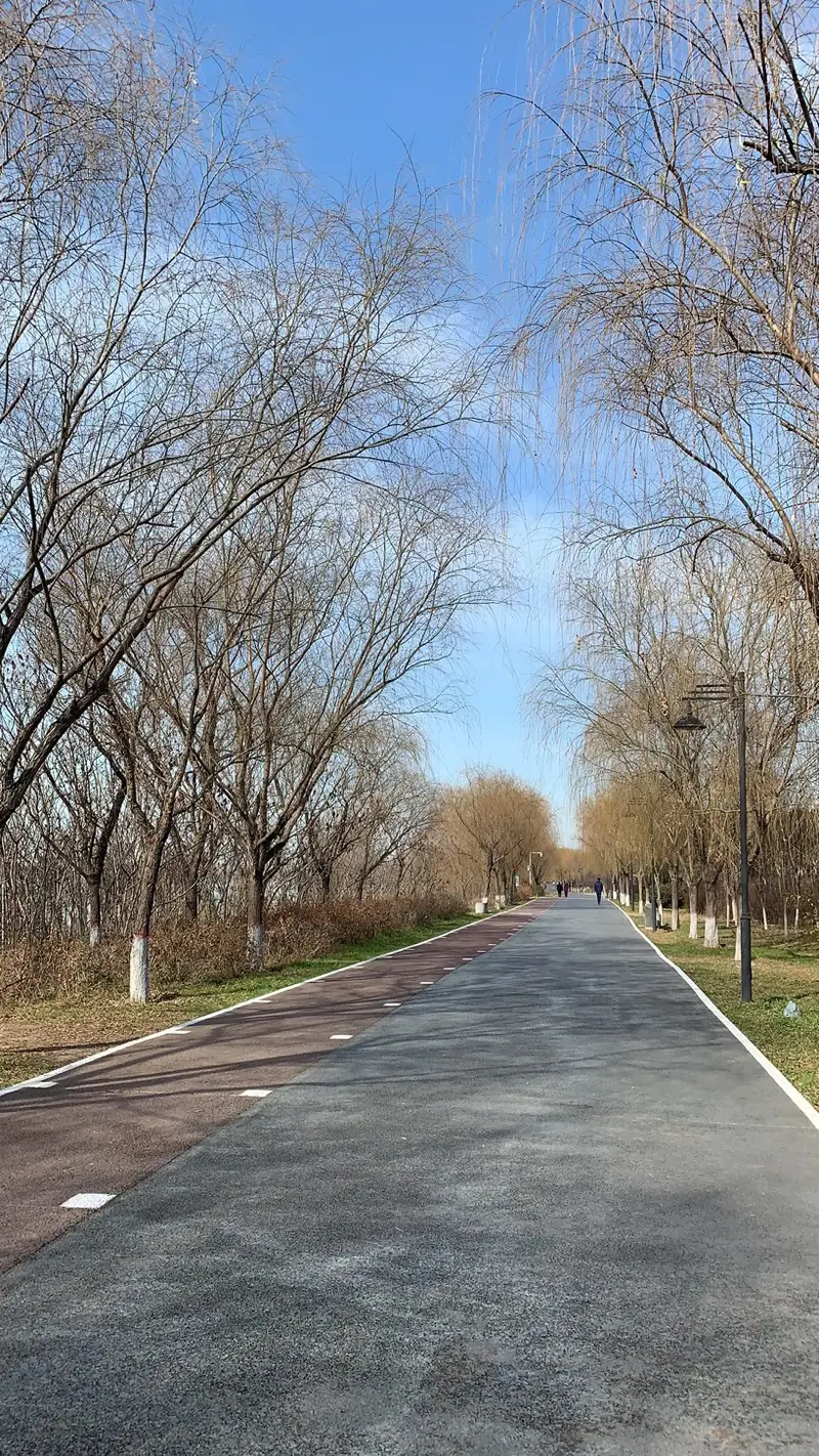 Chenguang Branch Of The Culture Center