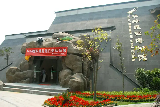 Chengdu Huaxi Insect Museum