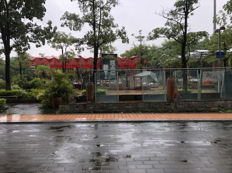 Olympic Sports Center - Parent-Child Paradise